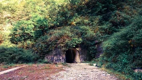 Tunnel in nature